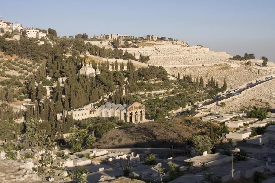 Monte de los olivos jerusalén