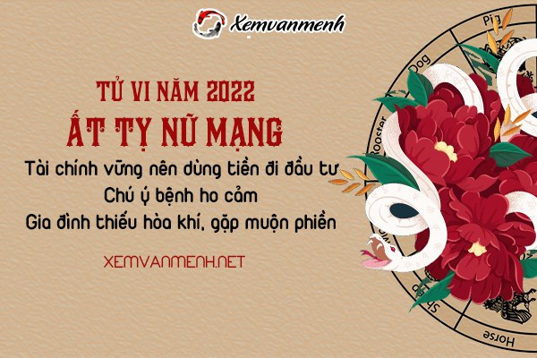 tu-vi-tuoi-at-ty-nam-2022-nu-mang-1965