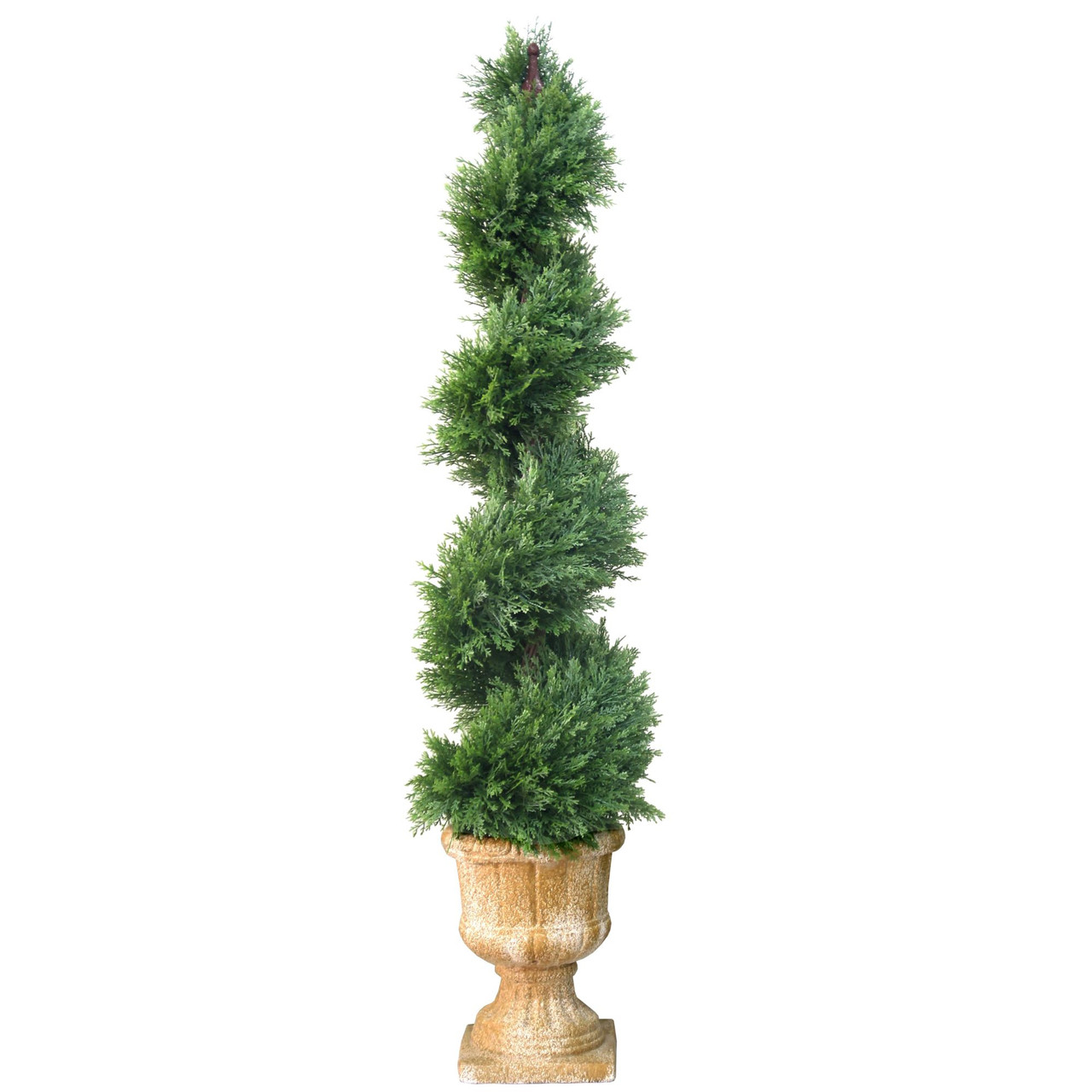 potted juniper spiral topiary tree