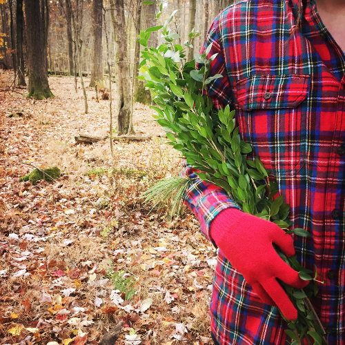Half of a person visible holding green foliage while wearing a red plaid flannel shirt in the woods.