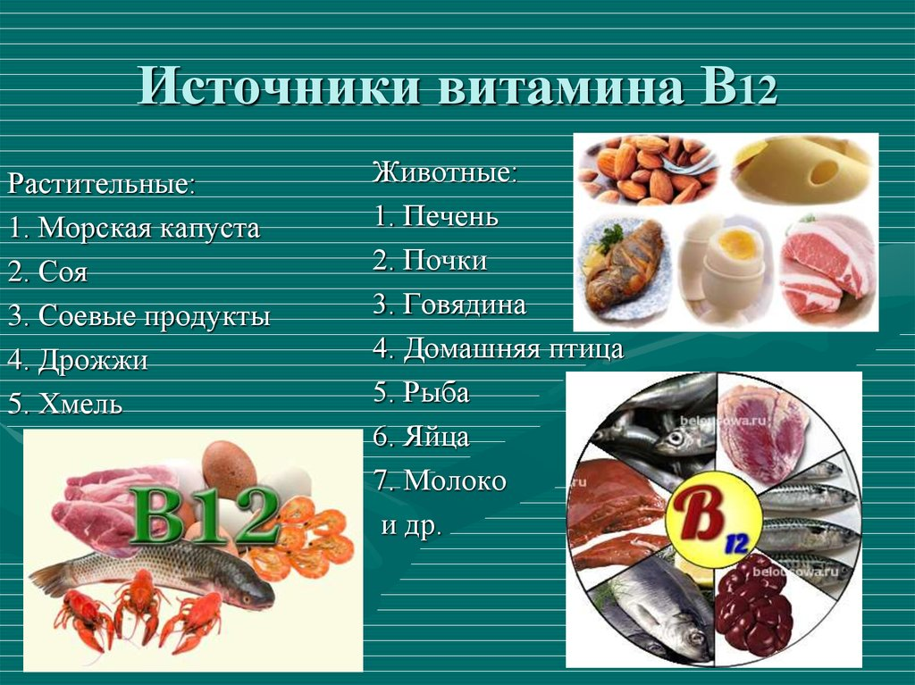 Продукты с высоким содержанием группы в. Источники витамина в12 в продуктах. Основные источники витамина в12 в питании. Источники витамина в12 таблица. Источники витамина b12.