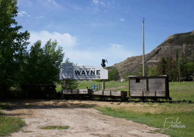 wayne-town-2