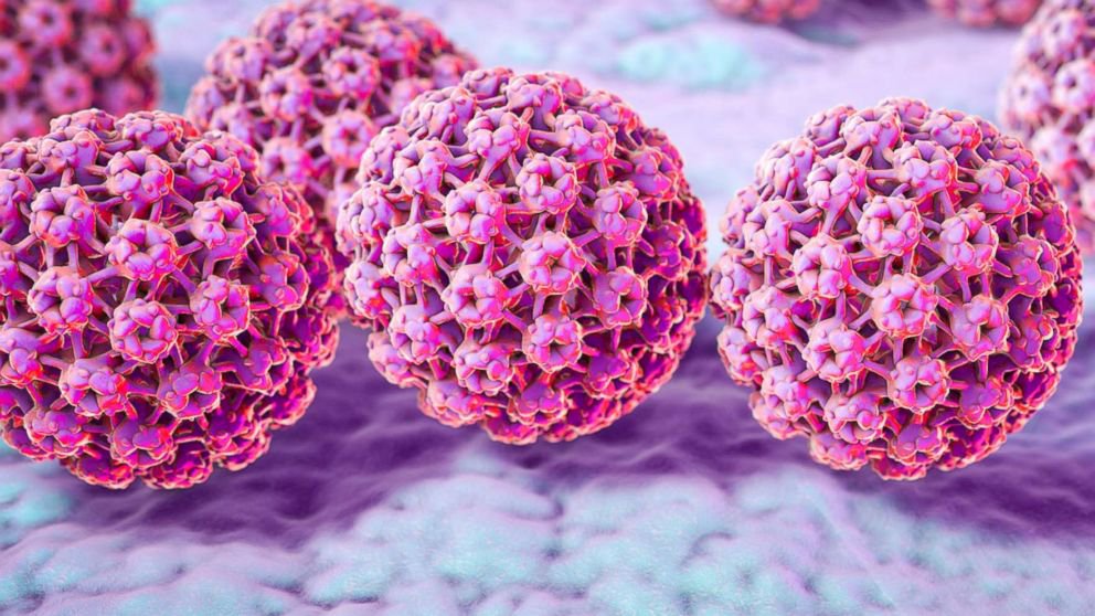 Virus HPV - yếu tố nguy cơ ung thư cổ tử cung cao