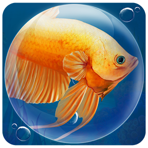 Dream Fish apk Download