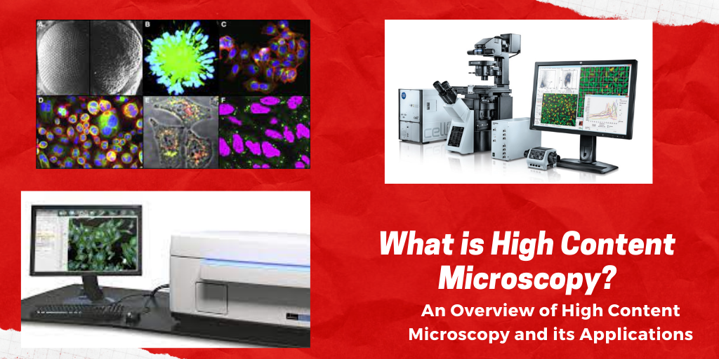 What is High Content Microscopy? An Overview of High Content Microscopy and its Applications.