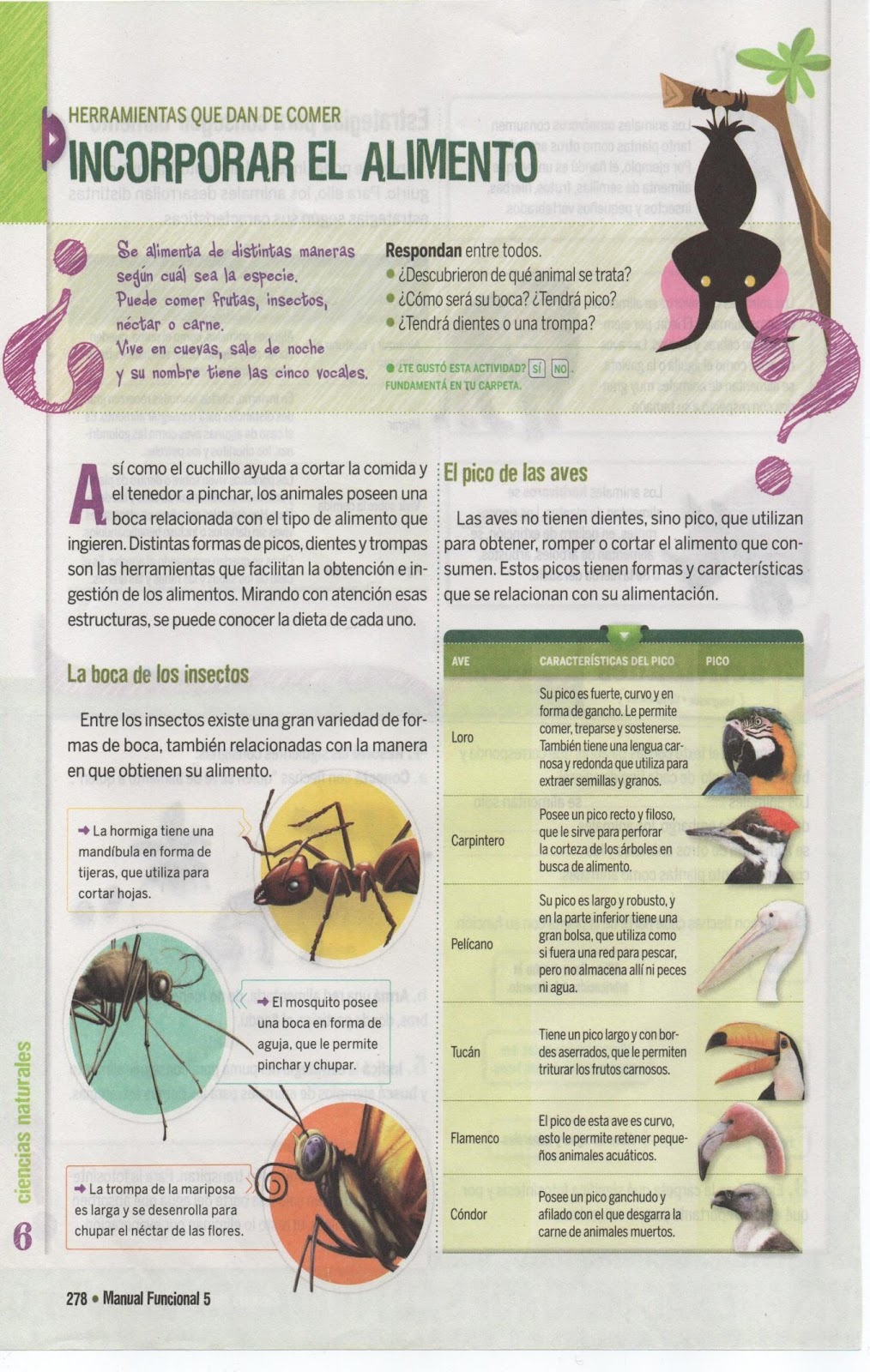 C:\Users\Usuario\Desktop\5º B-2021- GRETA\2021-06-15 HH\HH 001.jpg