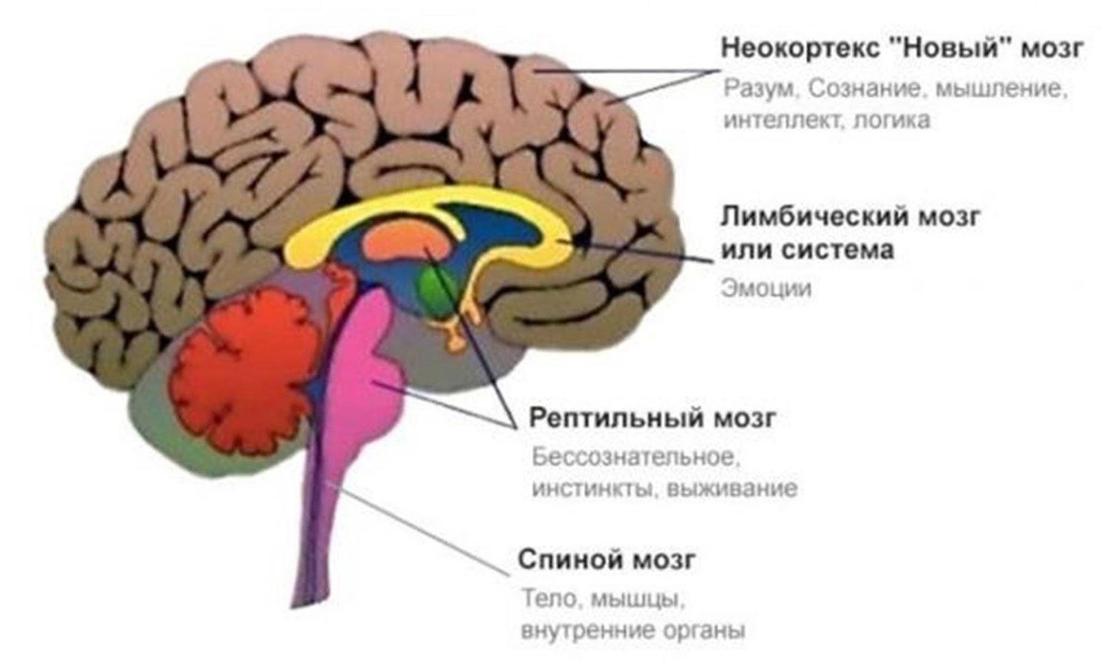 https://lh4.googleusercontent.com/Tq6KRp2rG8mVfr0SdLuS8hLp8QV2Bxs2qXBsG9j_almPr0FEi0e5dc22Z9QVkgnaP4IaZt9mDc6ImmhiGIP8QzoKDqVNLpRcvOVgmWcTogz6FBiScGBgbPpGCYJ4j9raHR3IPtlwJmmBWPB71Tsiu-RbdweXvUMLlpXLIHoQyGK1P7XVp9NsyKWUXDC74uNiKSfQXA
