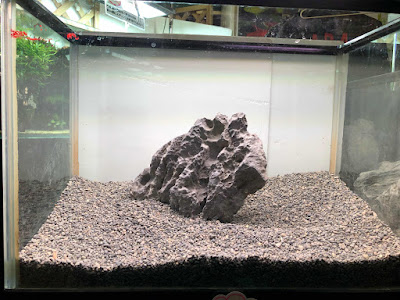 [無料ダウンロード！ √] 水槽 奥行き40 334685-奥行き40cm 水槽