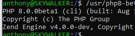 Versão do PHP exibida no Terminal