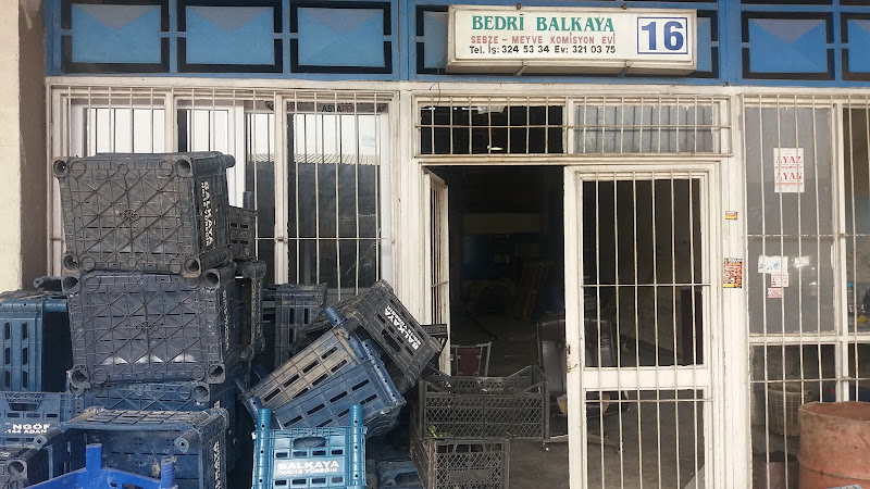 Bedri Balkaya