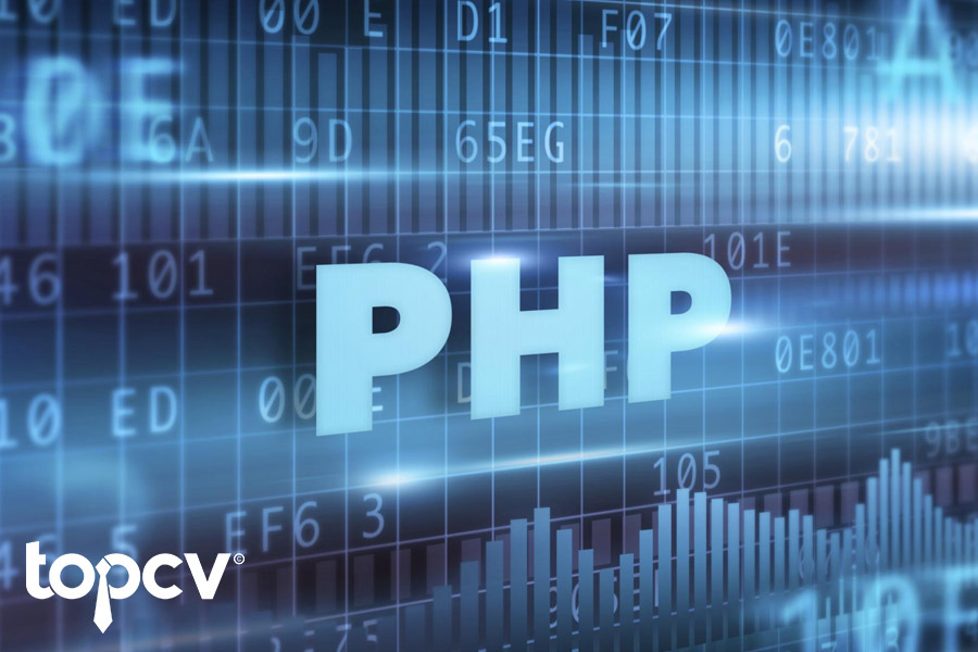 lập trinh viên PHP hình ảnh