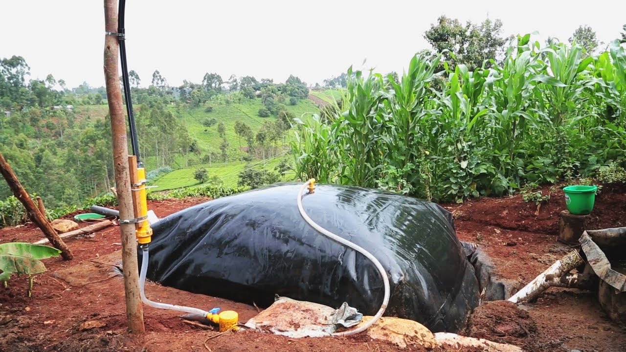 Echo Asia, Sistema.bio, biodigester, eco-farming, sustainable farming 