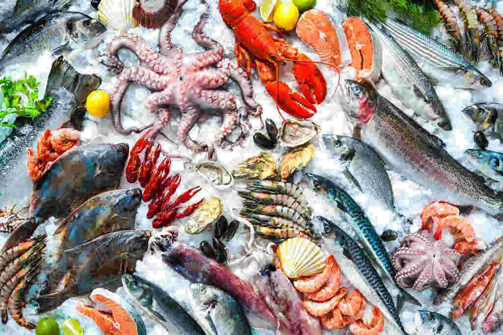 Nutrisi yang baik untuk anak banyak yang berasal dari makanan laut