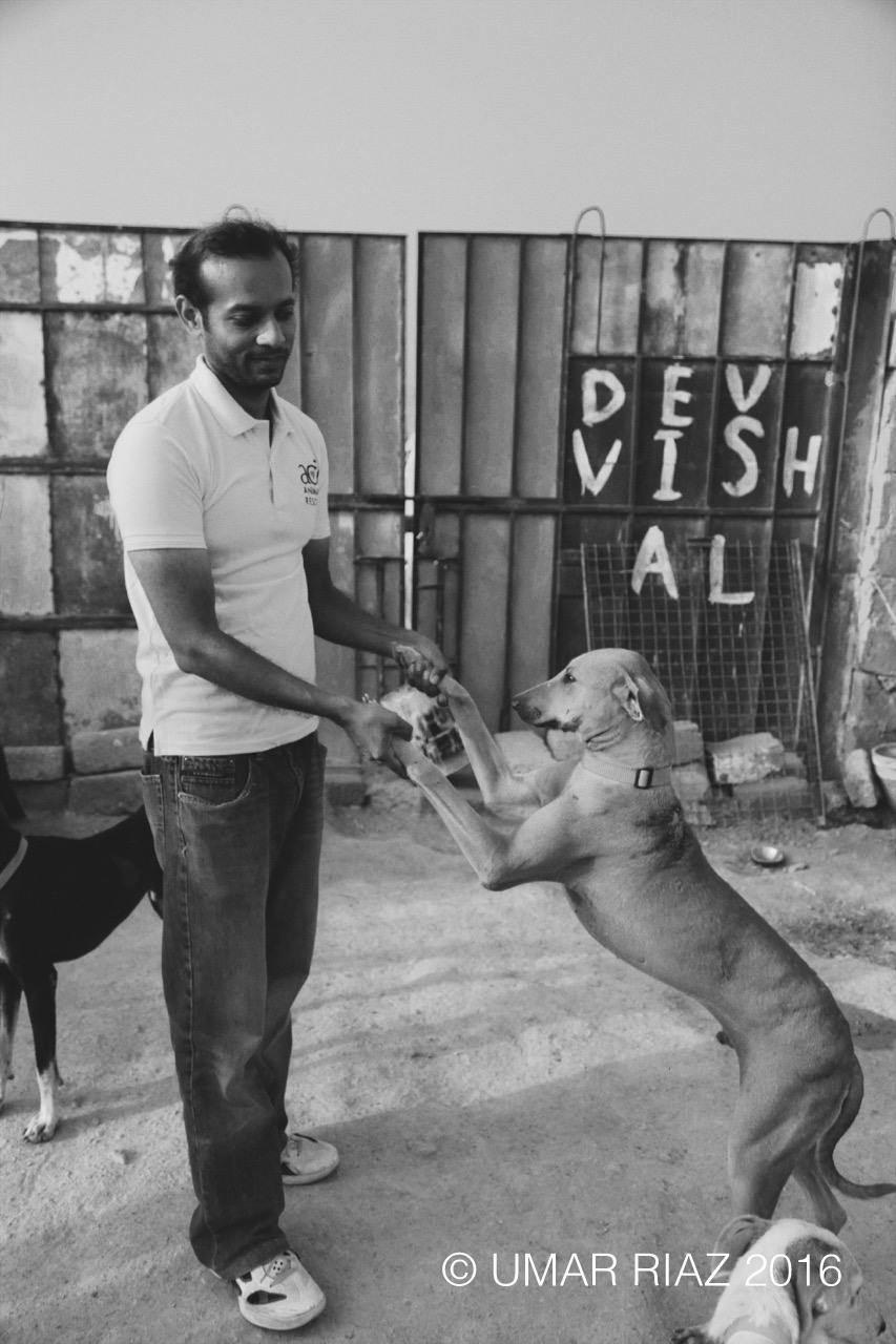 dog portrait acf fundraiser karachi