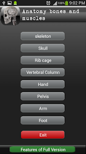 Download Human bones lite apk