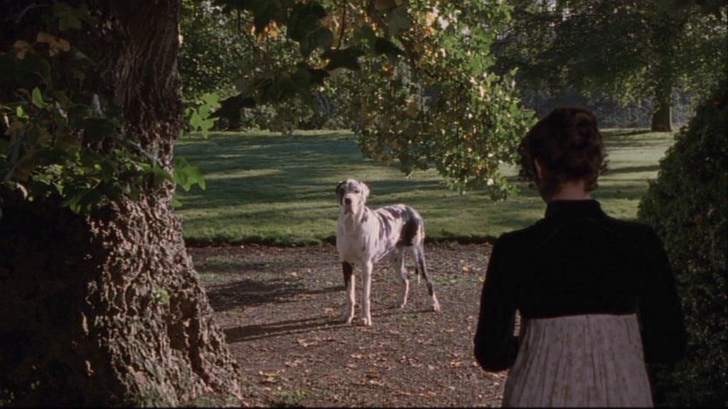 http://www.cap-that.com/austen/prideandprejudice/1995/1/images/cap1196.jpg