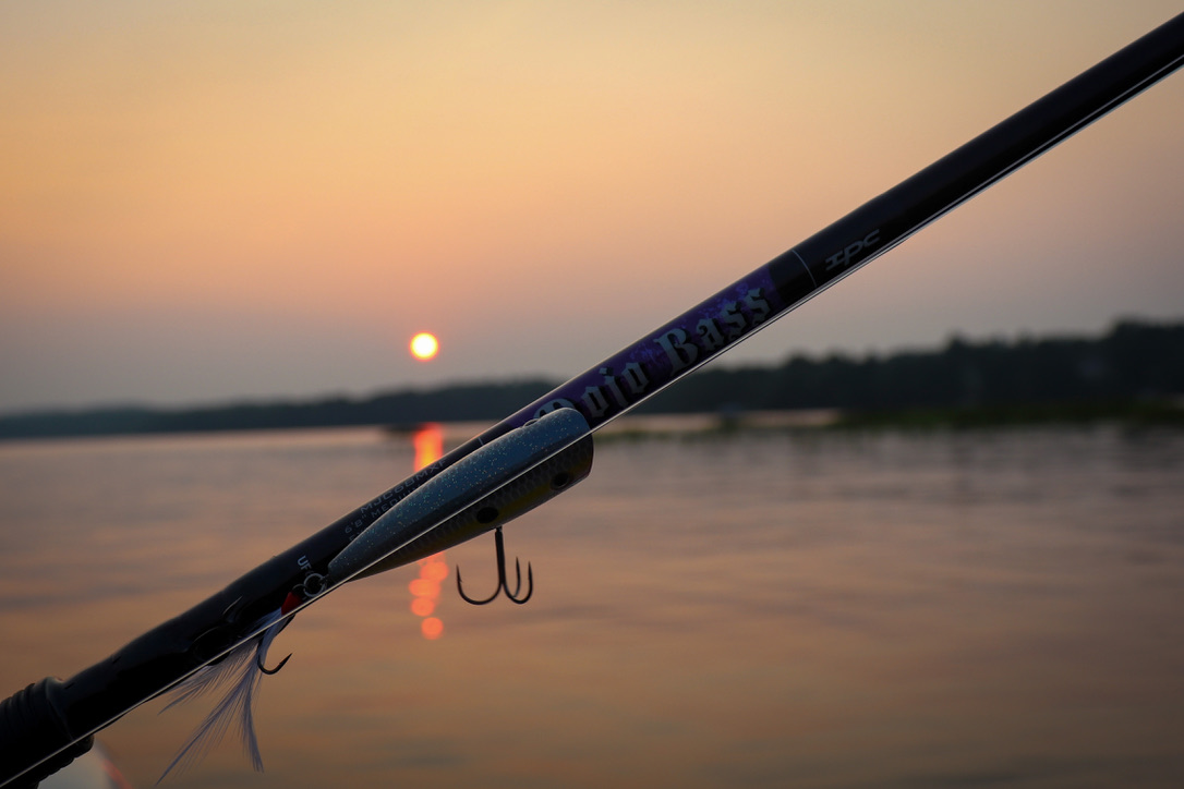 How do I choose the right fishing rod?