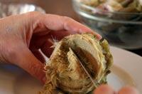 artichoke-8.jpg