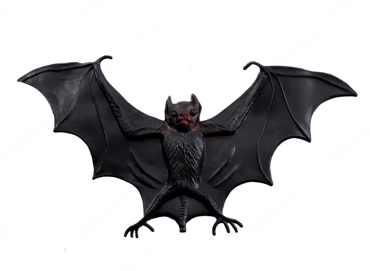 Are Bats Birds? All You Need To Know 2 akNYpgp4i5cJiqRbe0io0lqVxEt3Xs8D9jfPKQ1Gq85VWOfckwSU3FEdEYUXlCvGUGAk5kUu0ar