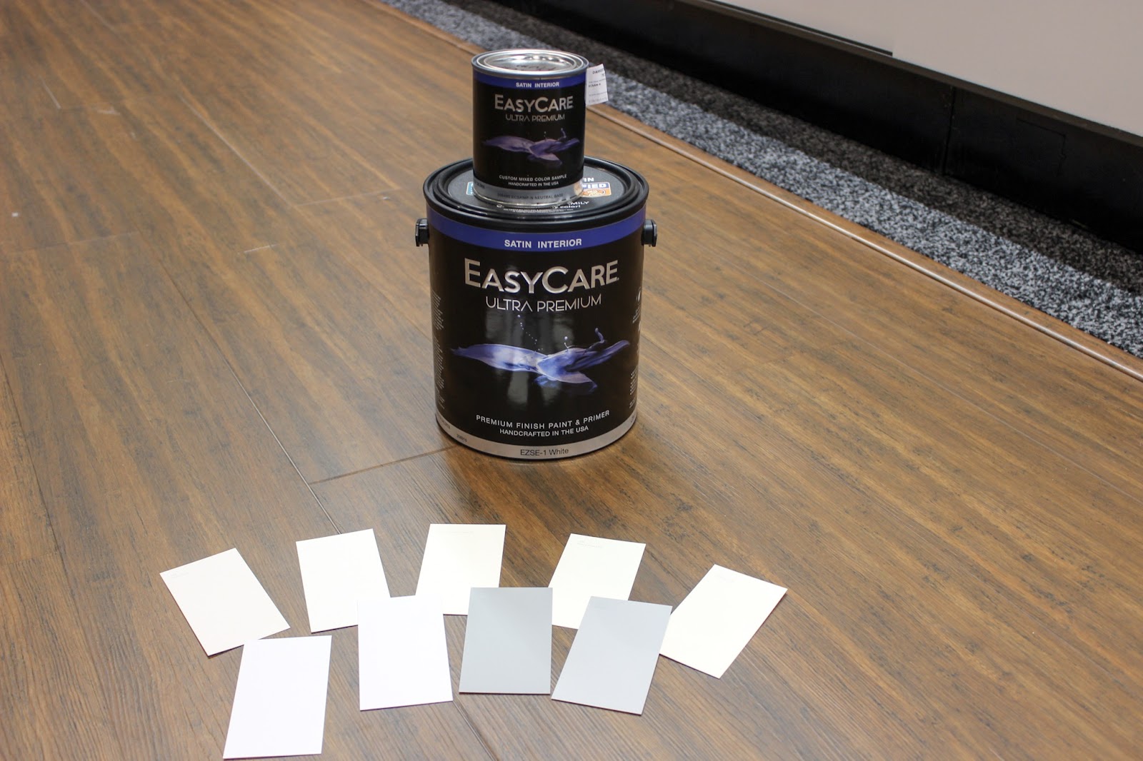 EasyCare Ultra Premium Paint on ground with samples