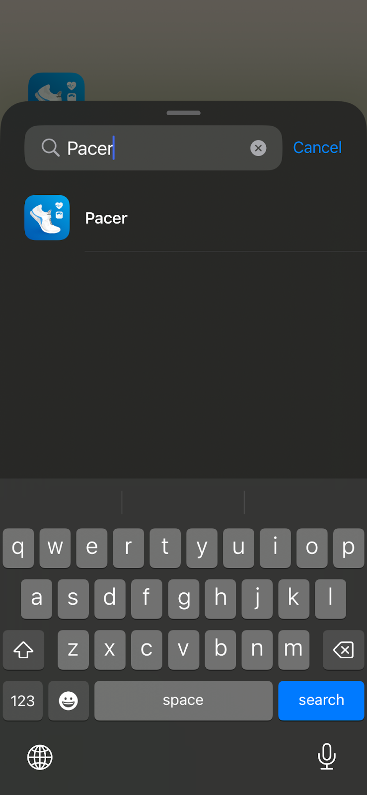 Search for "Pacer"