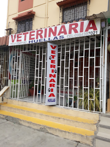 Veterinaria Huellas - Veterinario