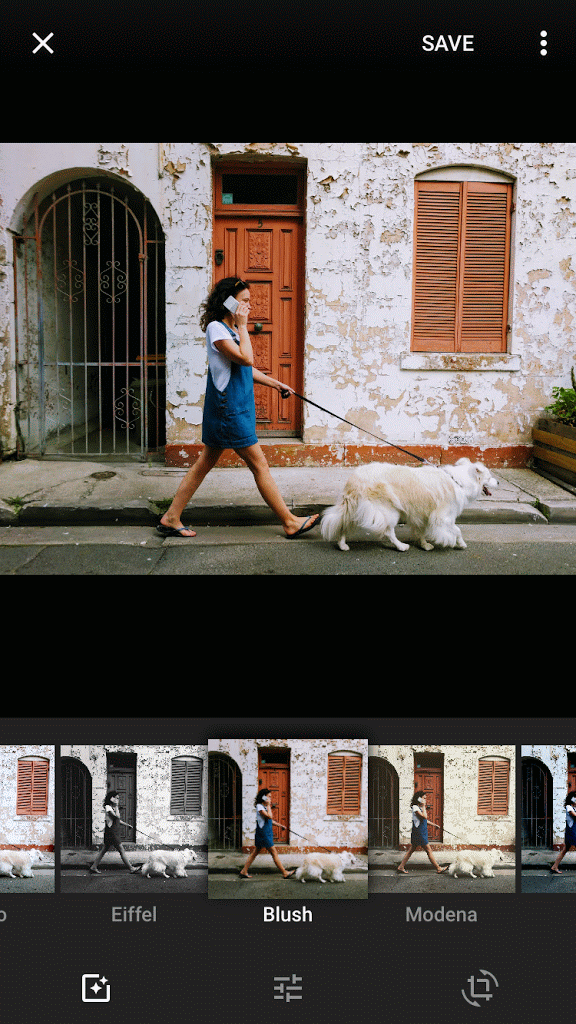 فتاة تمشي مع كلبها وألوان الصورة تتغير بشكل تلقائي وفقًا للتطبيق الخاص بتعديل الصور