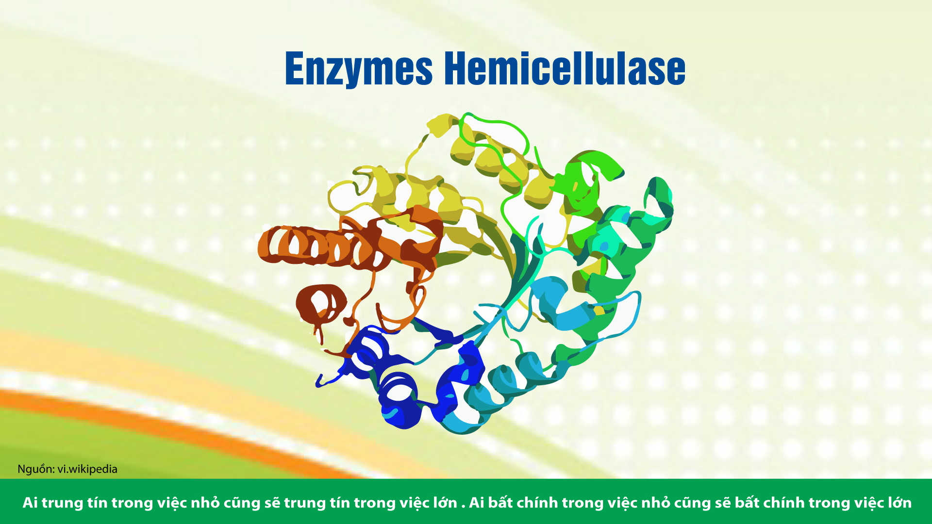 TÁC DỤNG TUYỆT VỜI CỦA CÁC ENZYME TIÊU HÓA (P1)