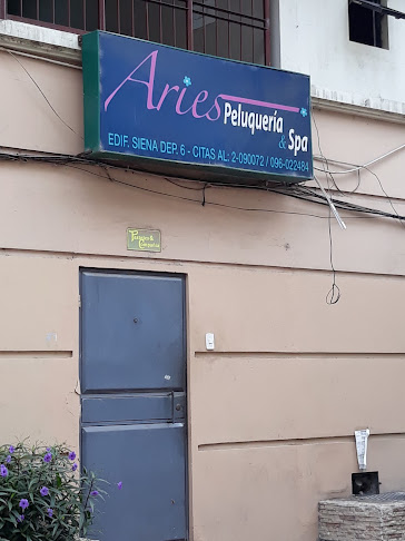 Aries Peluquería & Spa