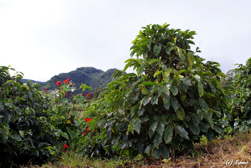 Панама и Коста-Рика, вместе с народом!