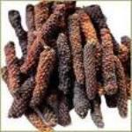 Long pepper