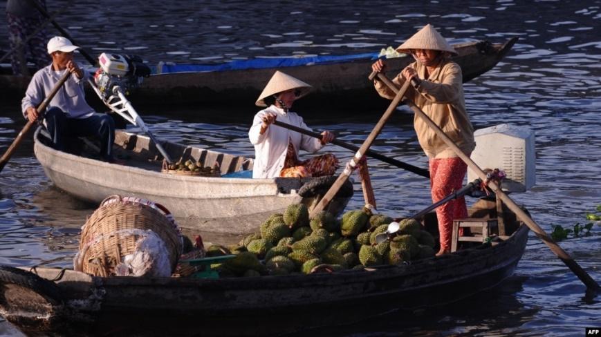 Sầu riêng được trồng nhiều ở miền Tây sông nước của Việt Nam. Ảnh mang tính minh họa