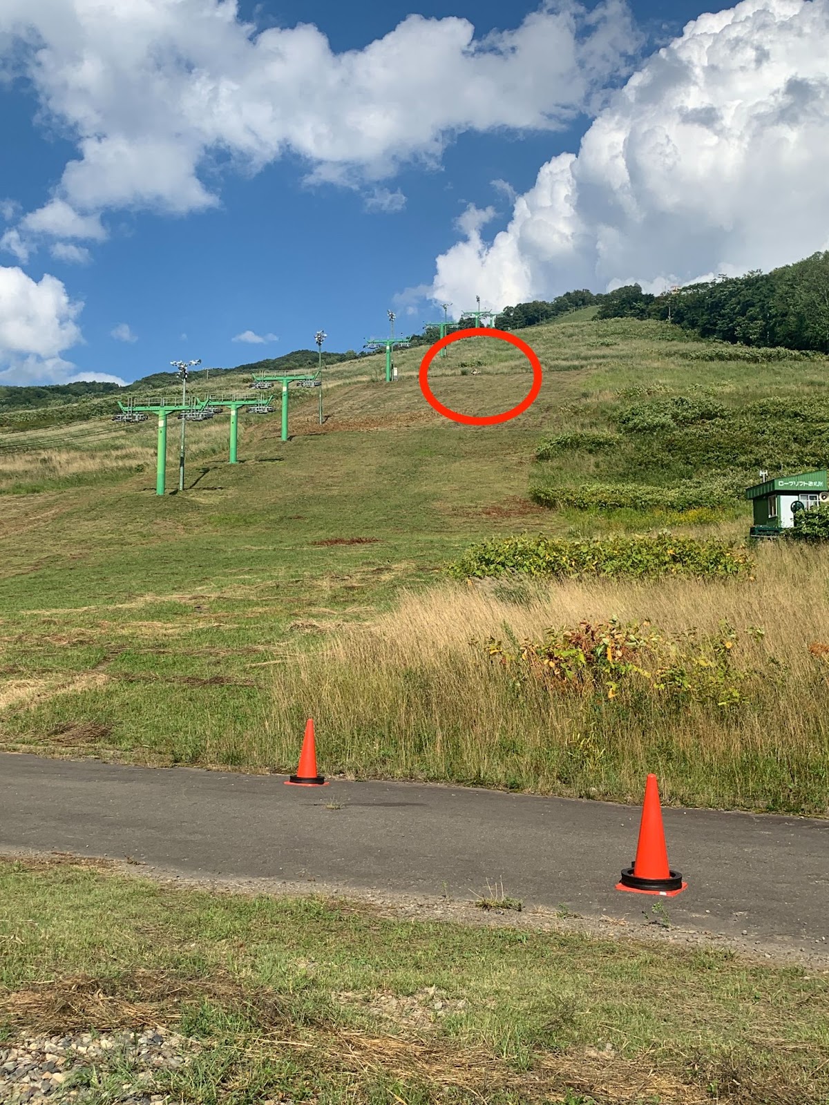 比布町をバイクで楽しむなら林道がおすすめ