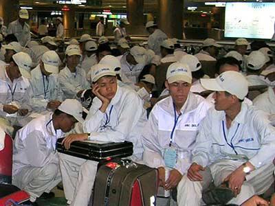 Lao động bỏ trốn, người ở nhà vạ lây - Ảnh 1.