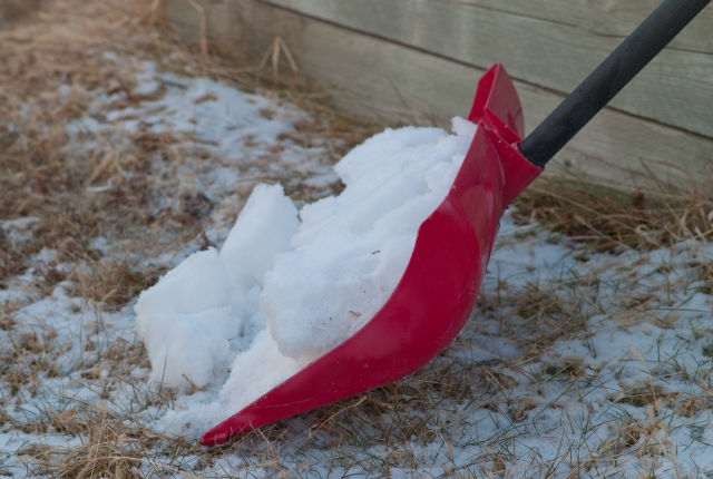 雪, 食品, 草, 覆い が含まれている画像 自動的に生成された説明