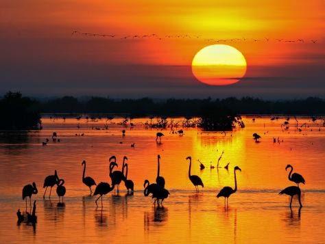 La imagen puede contener: cielo, crepÃºsculo, exterior, naturaleza y agua