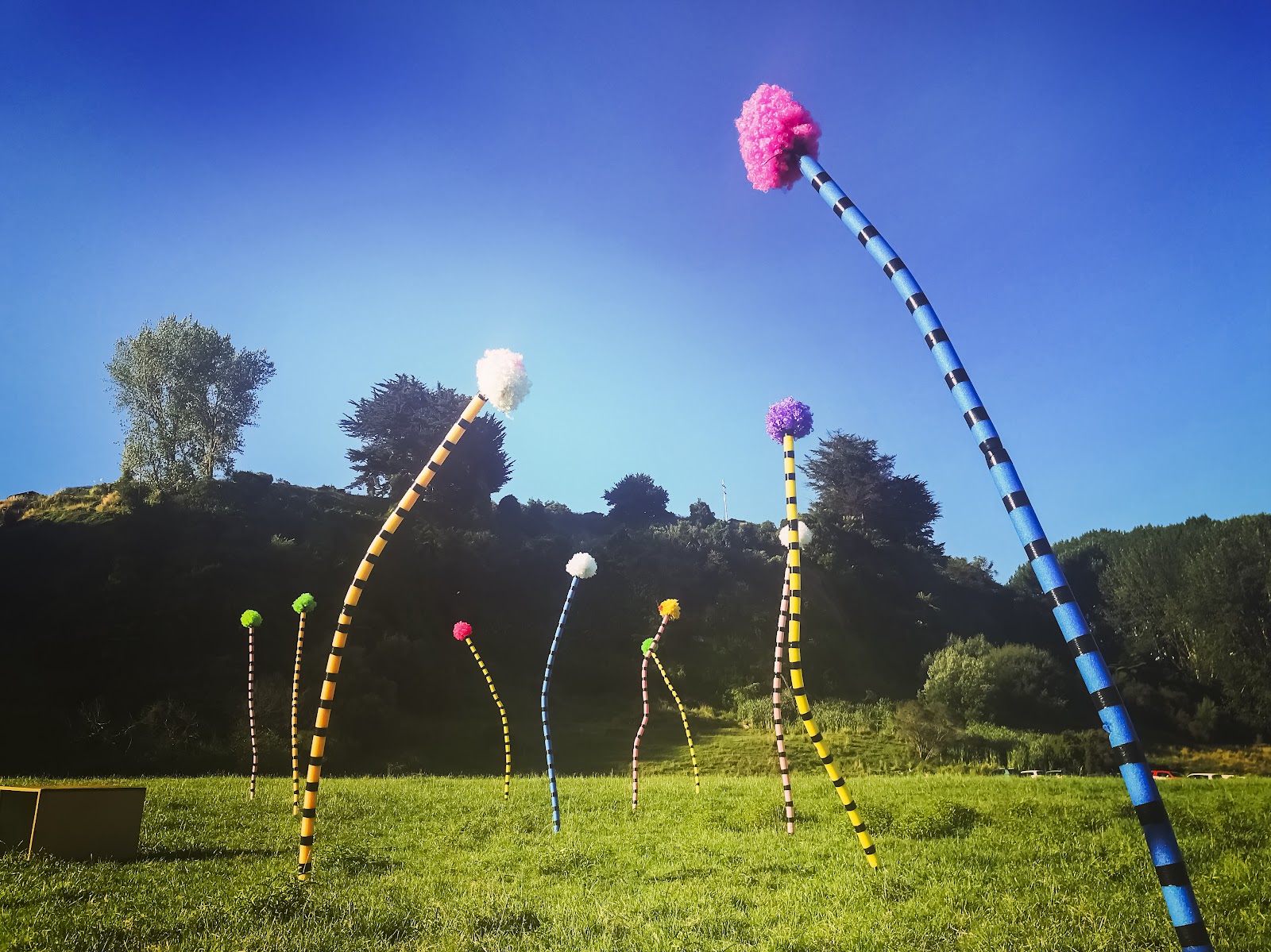 An art piece consisting of long striped bendy poles with pom poms on top.