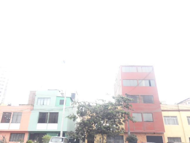 Cancha Deportivo de Tingo Maria - Lima