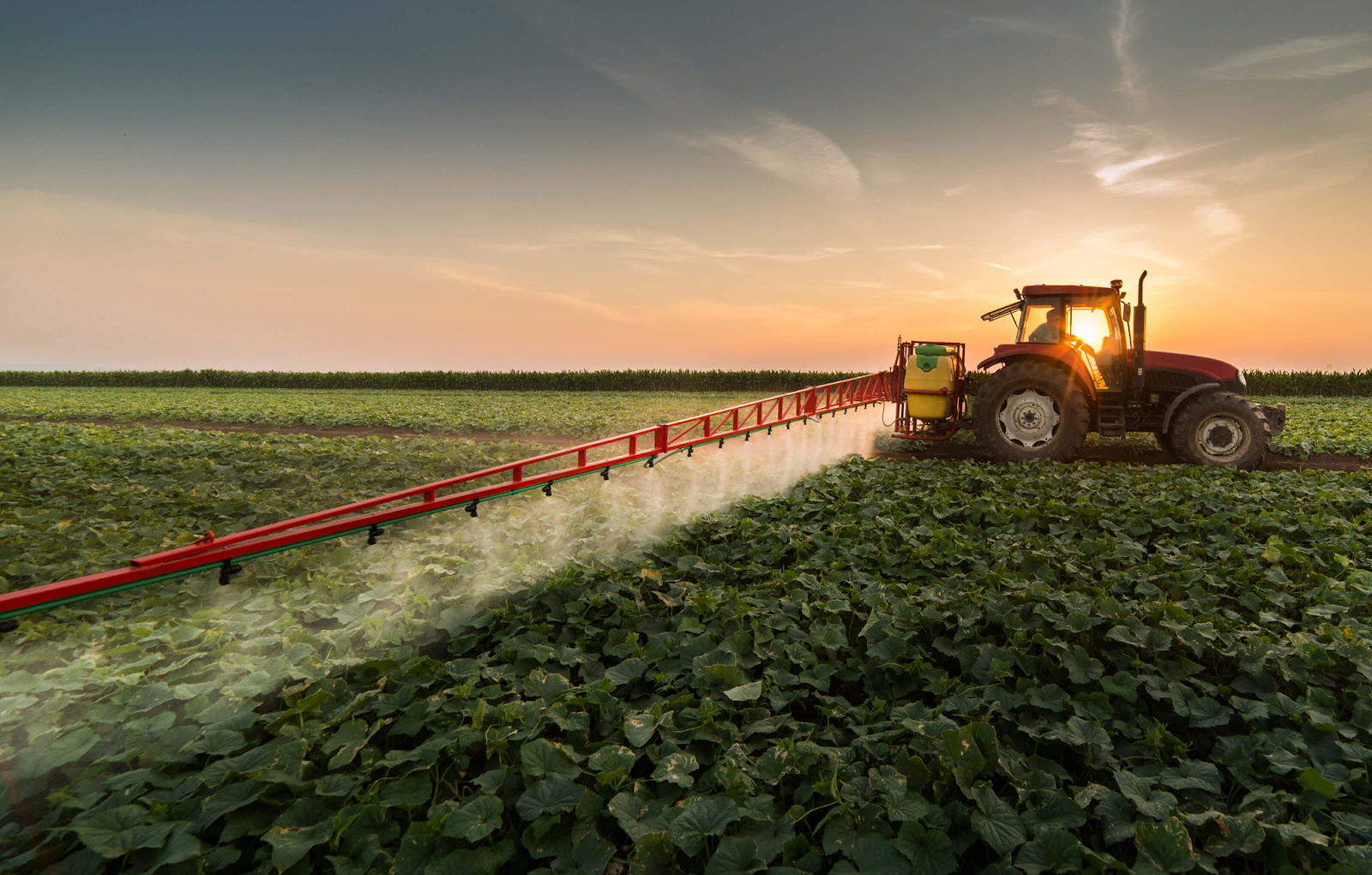 Modern Farming