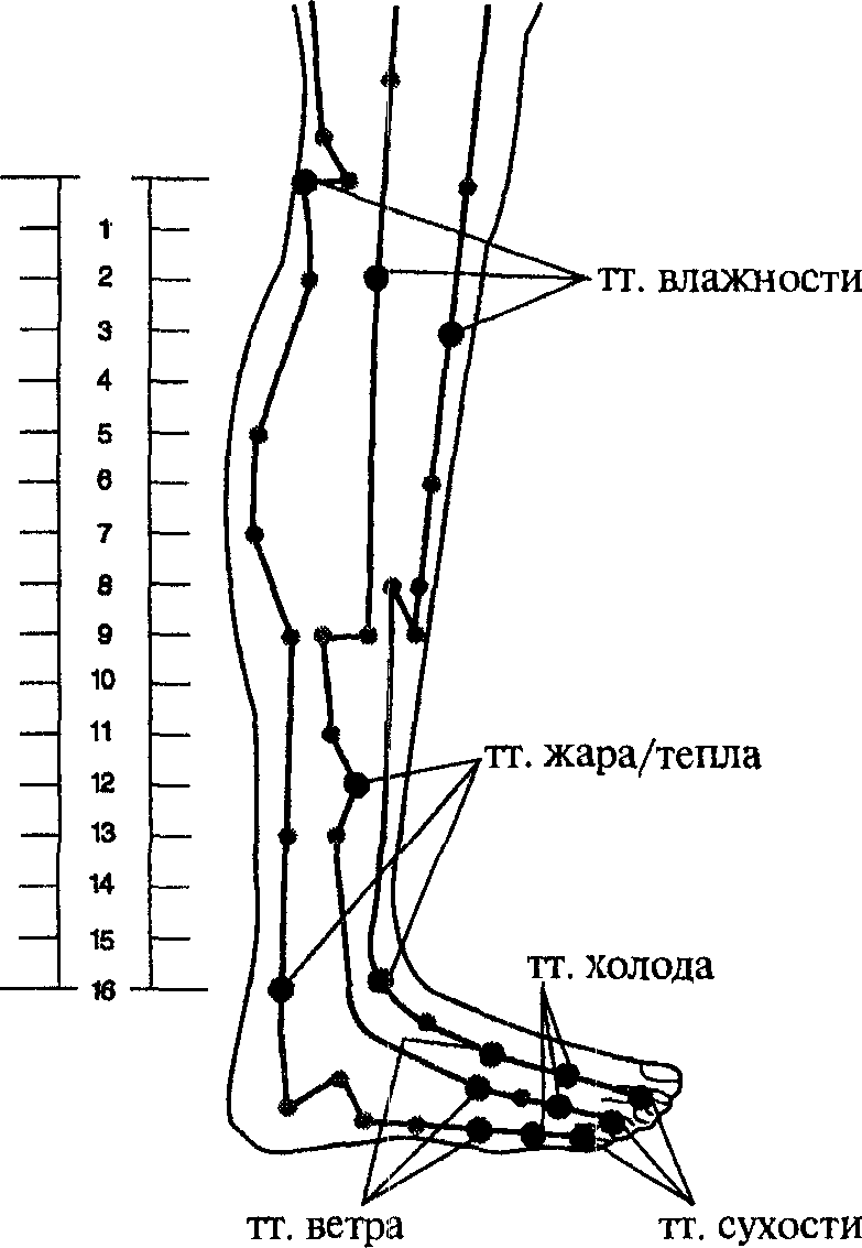 https://lh6.googleusercontent.com/FcJSKjbzSD_eZdIUojKBm0amMBYsBeMiUa_XdaeaEvtarD8LkKnY2CenfY4A4GHl91R7UrOfeC3BK2y_2iMYzrHMgholJMjnMzelqA6_HOzvfsf4QHfyXRMrqkELWbbk4mKnLlp5m9CNf4Iyc7ID6OVMD8m7iSGjQuxDaWdPzzY7droWCHqQDLtqhJiyfc9GWoM