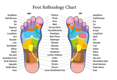 What Is Reflexology?