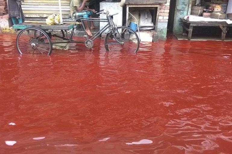 Кровавый дождь в Индии
