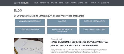 A screenshot of Customer Bliss blog