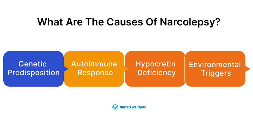 What are the Causes of Narcolepsy?