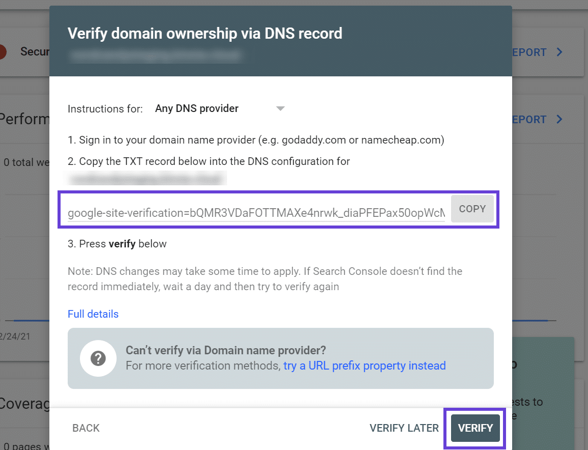 Copy DNS TXT record on Google Search Console
