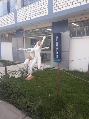 Dermacorp - Cirujano plástico
