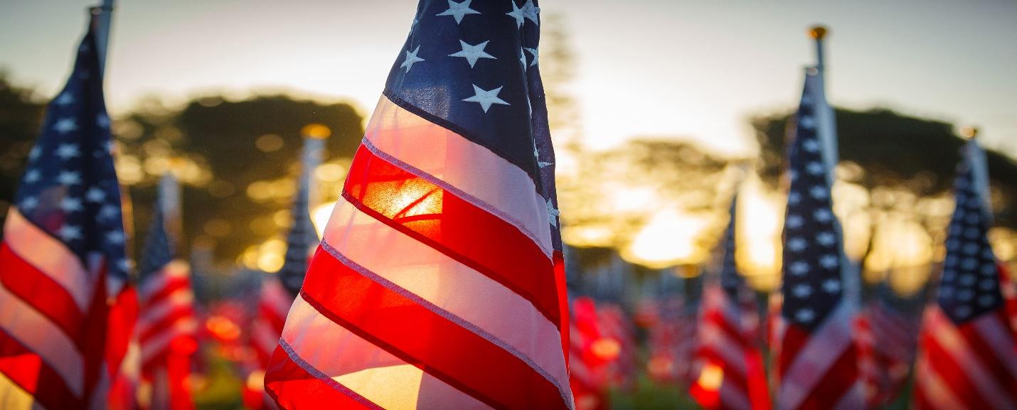Rows of American flags in twilight