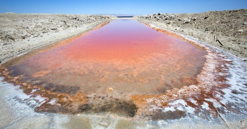 Picture of the Salton Sea