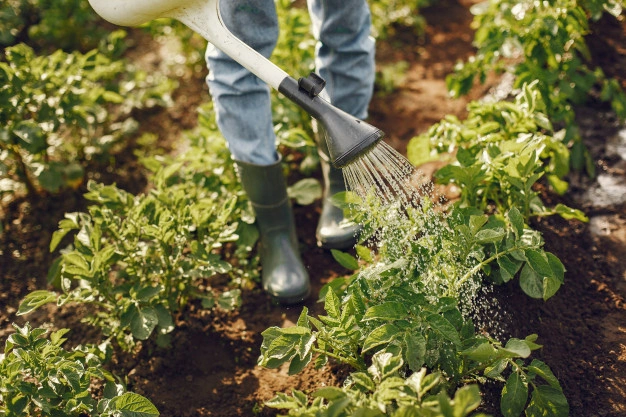 Organic farming practice 