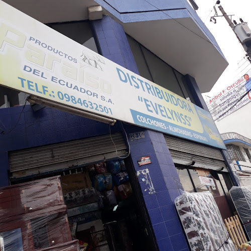 Distribuidora Evelynss - Tienda de muebles